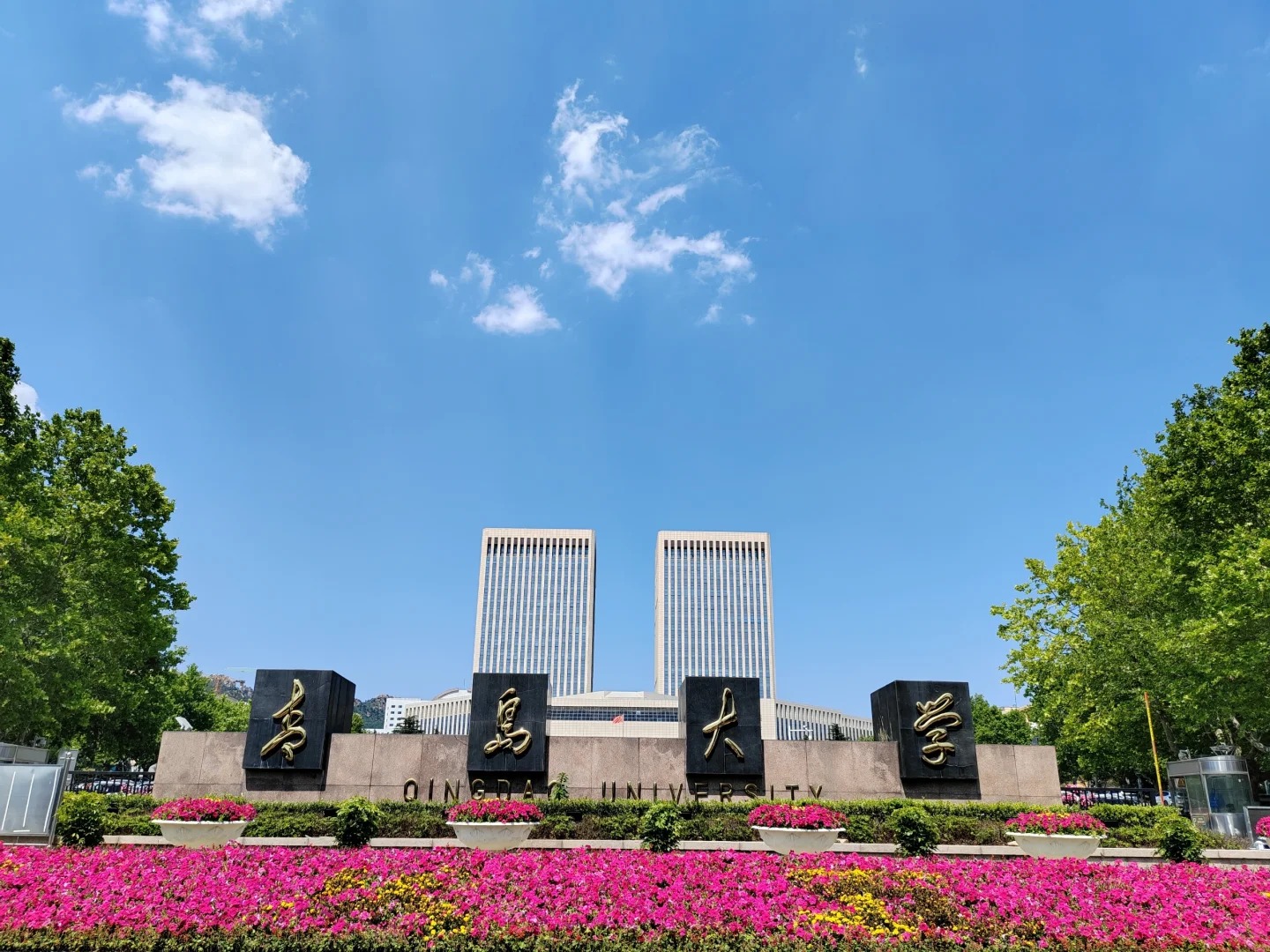 Hình ảnh cho trường Đại học Thanh Đảo